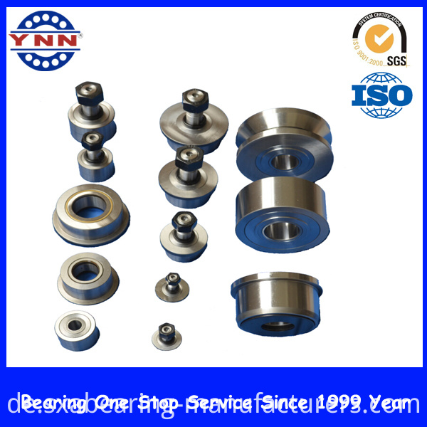 China Factory Non-Standard Rolling Bearing